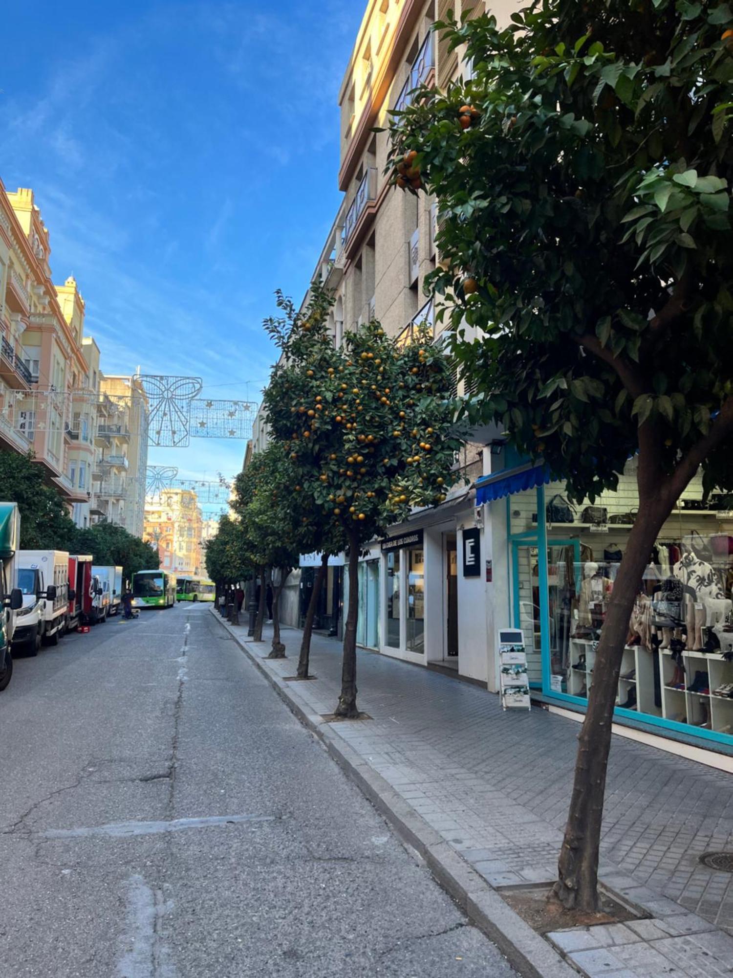 Centro- Apartamento Azonaicas Κόρδοβα Εξωτερικό φωτογραφία