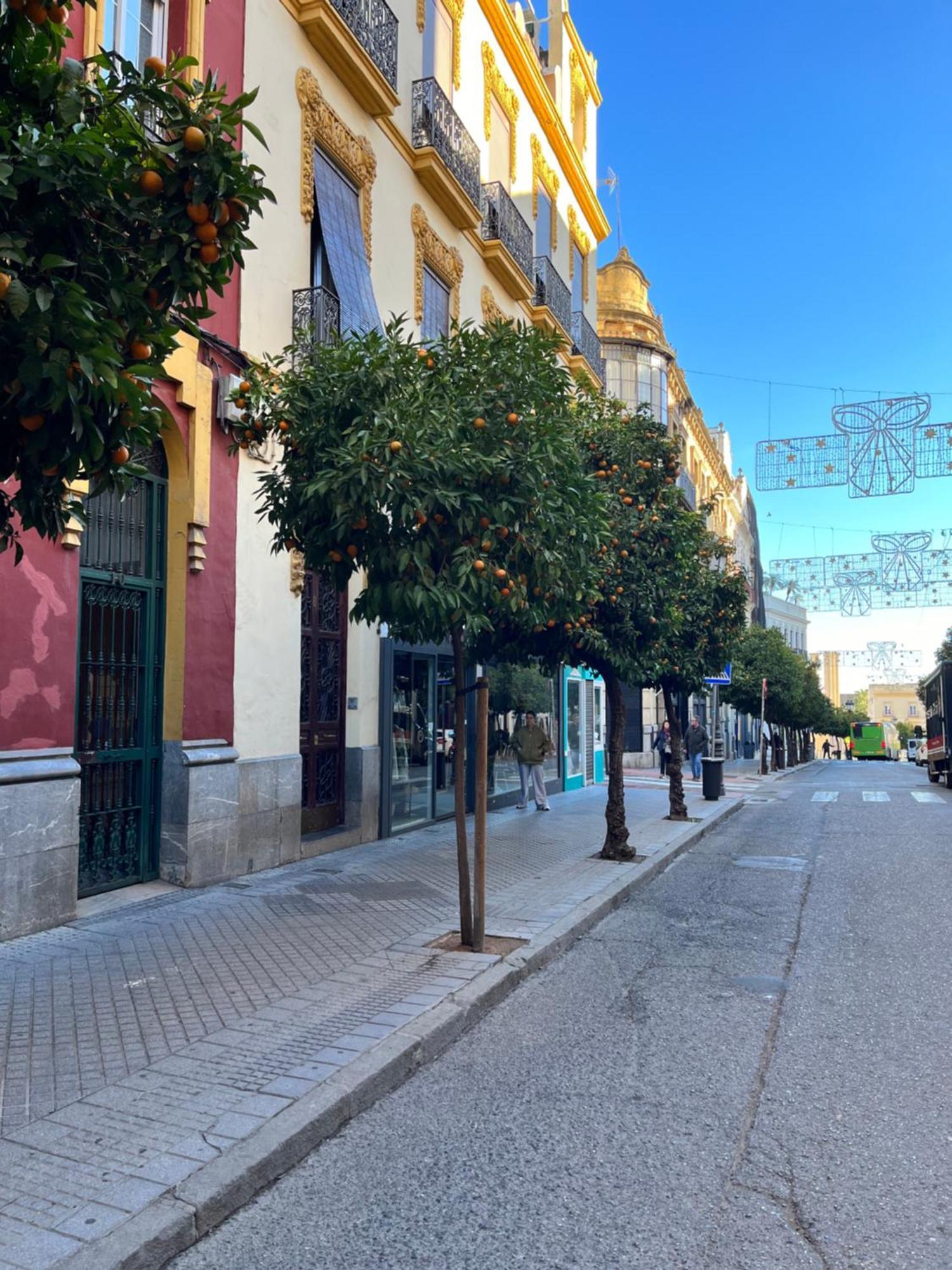 Centro- Apartamento Azonaicas Κόρδοβα Εξωτερικό φωτογραφία